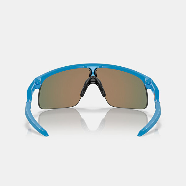 Oakley Resistor - 2