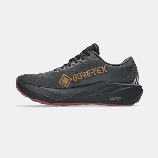 ASICS Gt-2000 15 Gtx - 1